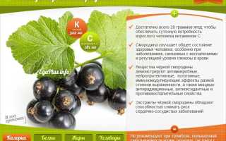 Польза черной смородины для здоровья: 6 полезных эффектов и их значение