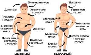 Что делать, если не растет борода? Полезные советы и рекомендации