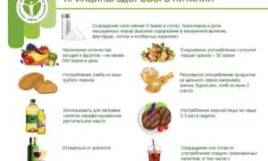 Основные принципы питания для похудения и здоровья
