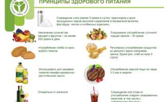 Основные принципы питания для похудения и здоровья