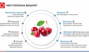 5 полезных свойств вишни для здоровья по мнению диетологов и их исследования
