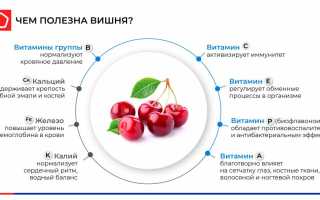5 полезных свойств вишни для здоровья по мнению диетологов и их исследования