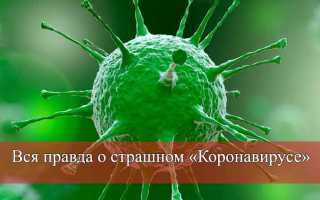 21 миф о коронавирусе, которые стоит развенчать