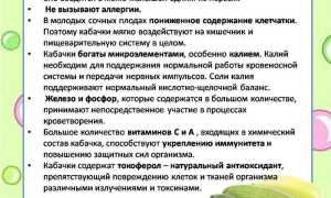 Свежие кабачки: едят ли их в сыром виде? Полезные советы