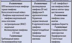Прогноз для жизни при неходжкинской лимфоме: важные аспекты и рекомендации