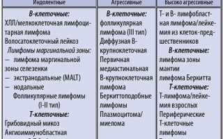 Прогноз для жизни при неходжкинской лимфоме: важные аспекты и рекомендации