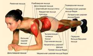 Польза от упражнения планка: что будет, если делать её каждый день для здоровья