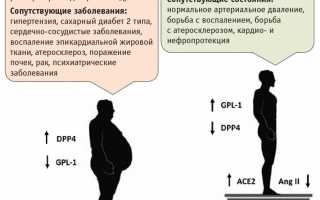 Люди с ожирением тяжелее переносят COVID-19: важные факты и исследования