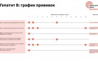 Вакцина против гепатита Б: как ее ставят, схема вакцинации и важные рекомендации
