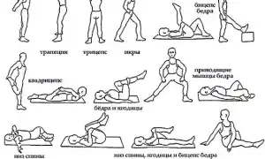 Какие упражнения подходят при межпозвоночной грыже поясницы для эффективного восстановления