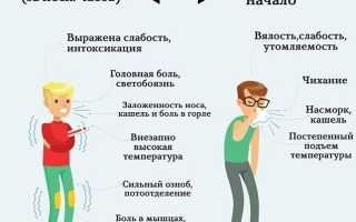 Грипп и простуда: в чём разница между ними и как их различать?