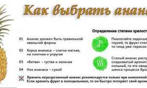 Ананас помогает похудеть: правда или вымысел? Узнайте мнение экспертов