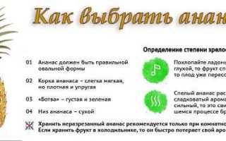 Ананас помогает похудеть: правда или вымысел? Узнайте мнение экспертов