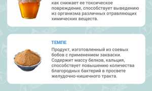 7 самых полезных ферментированных продуктов для здоровья и благополучия
