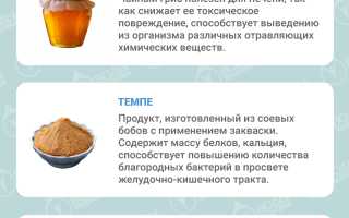 7 самых полезных ферментированных продуктов для здоровья и благополучия