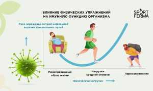 Как тренировки влияют на иммунитет и общее здоровье