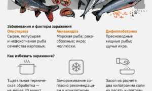 7 опасных паразитов и бактерий, которые могут скрываться в мясе и рыбе, угрожающих здоровью