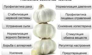 Чем полезен чеснок для мужского здоровья и благополучия?