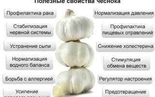 Чем полезен чеснок для мужского здоровья и благополучия?