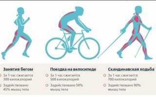 Бег vs велосипед: что лучше для похудения и полезнее для здоровья в долгосрочной перспективе?