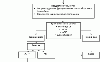 Алкогольный гепатит: клинические рекомендации для врачей и пациентов
