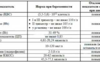 При беременности низкий уровень железа