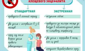 Вакцинация против клещевого энцефалита: как её проводят и зачем она нужна для здоровья?