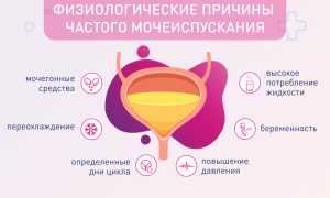 Почему мужчина начинает часто ходить в туалет по ночам? Узнайте причины и советы