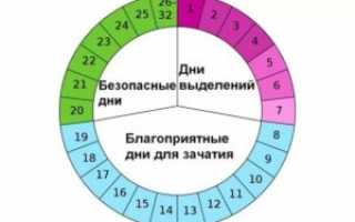 Как высчитать цикл зачатия ребенка
