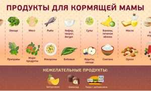 Диета при кормлении грудью, меню кормящей мамы для здоровья