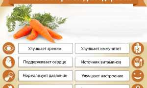 В чем польза моркови для здоровья: основные факты и рекомендации