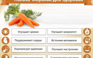 В чем польза моркови для здоровья: основные факты и рекомендации