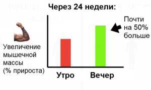 Идеальное время для тренировок: существует оно или нет? Узнайте мнение экспертов