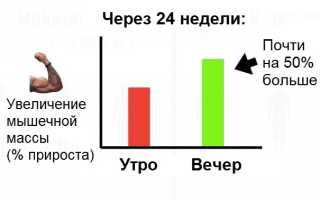 Идеальное время для тренировок: существует оно или нет? Узнайте мнение экспертов