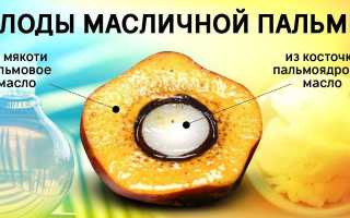 Чем вредно пальмовое масло для организма и есть ли от него польза? Узнайте больше о последствиях