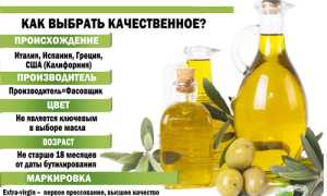 Полезно ли оливковое масло? 10 полезных свойств для здоровья и благополучия