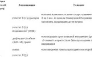 Прививки при планировании беременности