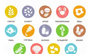 Разновидности аллергии и как её распознать: полезные советы