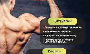 Польза добавок с L-карнитином для мужского здоровья и физической активности