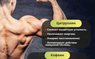 Польза добавок с L-карнитином для мужского здоровья и физической активности