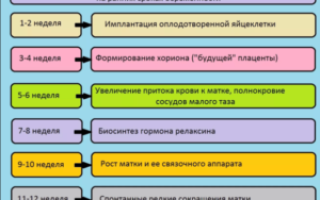 Болит живот на ранних сроках
