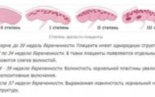 Толщина плаценты по неделям беременности