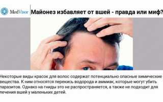 Майонез избавляет от вшей — правда или миф? Узнайте мнение экспертов