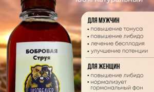 Что такое бобровая струя и чем она полезна для мужского здоровья: полезные свойства и применение