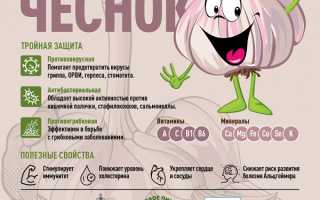 Помогает ли чеснок от простуды и гриппа? Научные данные и рекомендации