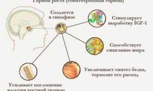 Дефицит гормона роста: причины и последствия