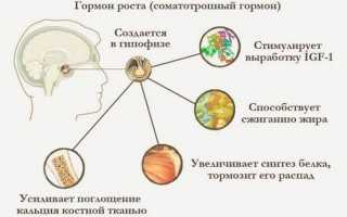 Дефицит гормона роста: причины и последствия