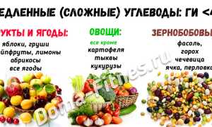 В каких продуктах есть медленные углеводы: основы здорового питания для здоровья