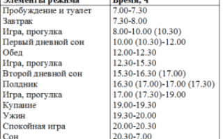 Режим дня ребенка 8 месяцев на грудном вскармливании
