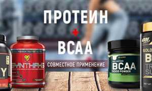BCAA и протеин: вместе или по отдельности для достижения результатов